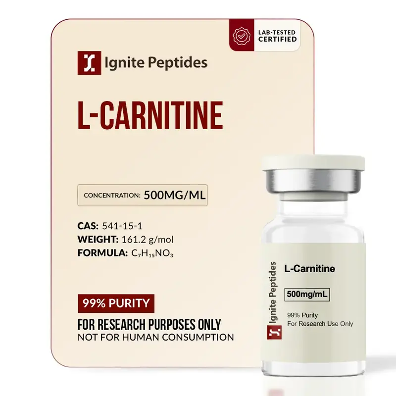 l carnitine 500mg/ml 10ml l carnitine 500mg/ml 10ml